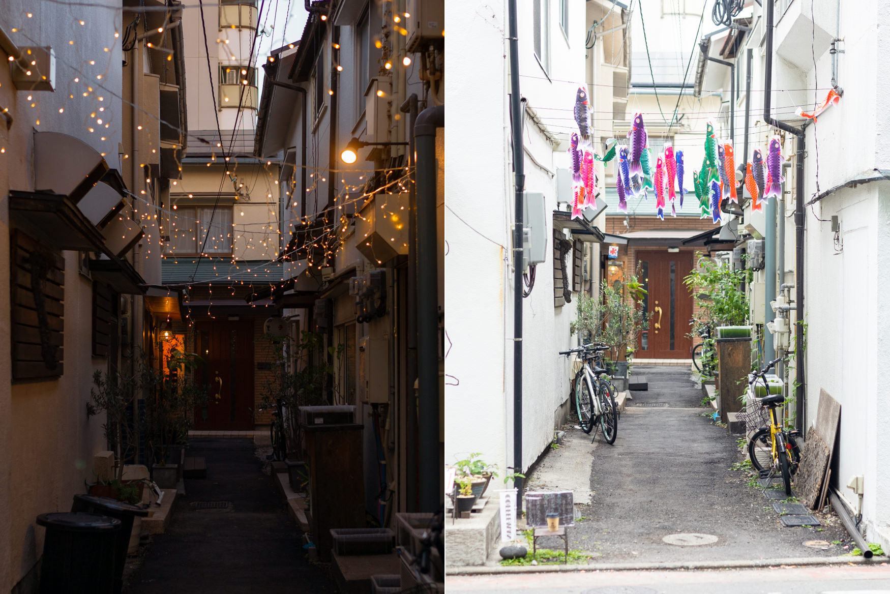 六本松プラスワン店舗