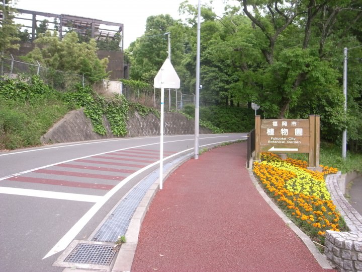 植物園の看板に従い進みます