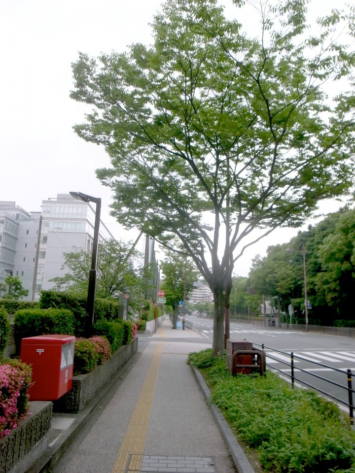 NHKさんを過ぎて福大大濠高校のが見えたら左折します