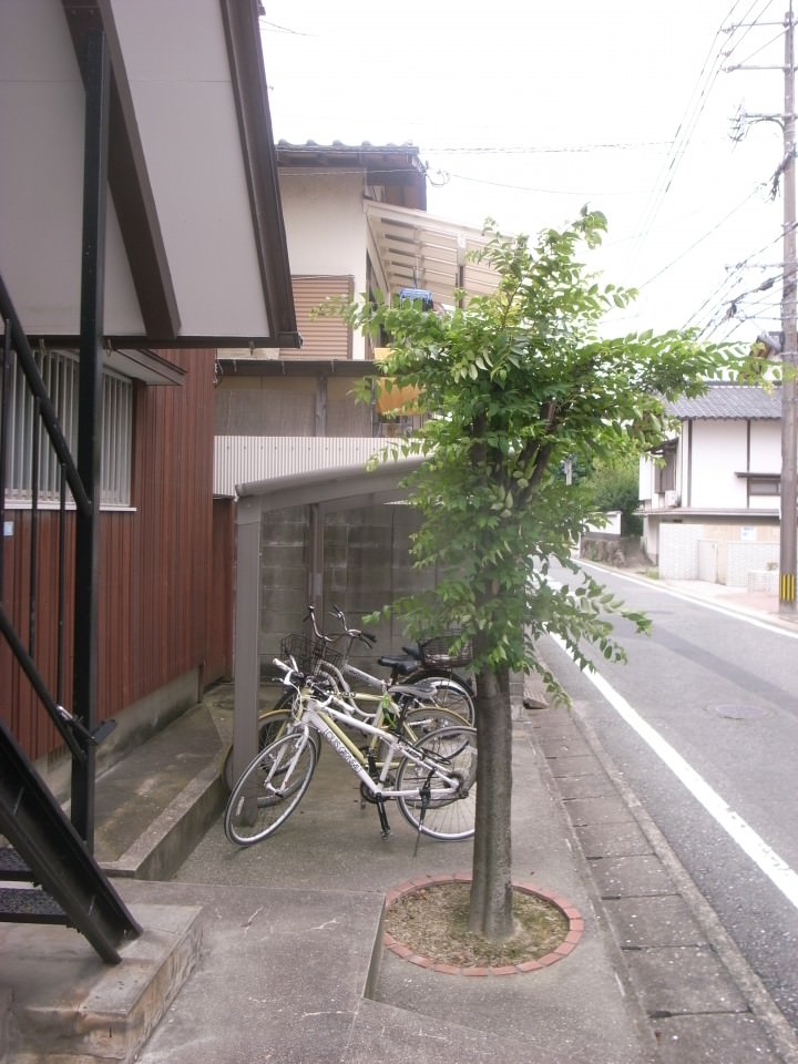 自転車置場も整理されております