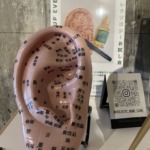 耳つぼリフレクソロジー